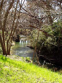 Waxahachie, TX: Creek running thru city park, Waxahatchie, TX