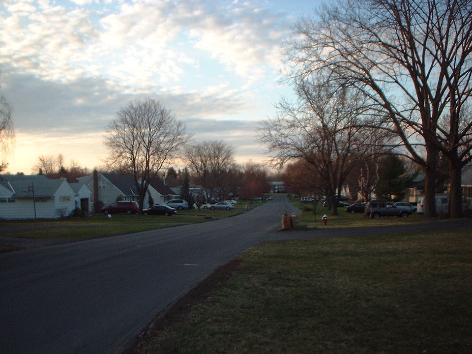 Niskayuna, NY: A Residential Street in Niskayuna