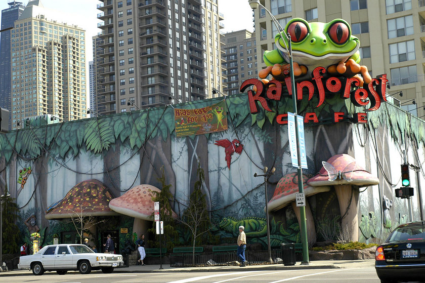 Chicago, IL: Rain Forest cafe, just a cool building.