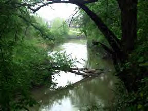 Coppell, TX: There is a hiking trail along Denton Creek - Coppell, TX