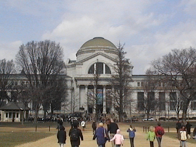 Washington, DC: Museum of Natural History