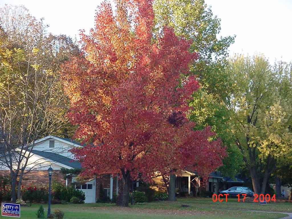 Beavercreek, OH: Beautiful Fall Colors in Beavercreek, OH