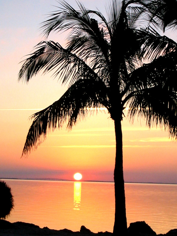 Key Largo, FL: Sunset in Key Largo