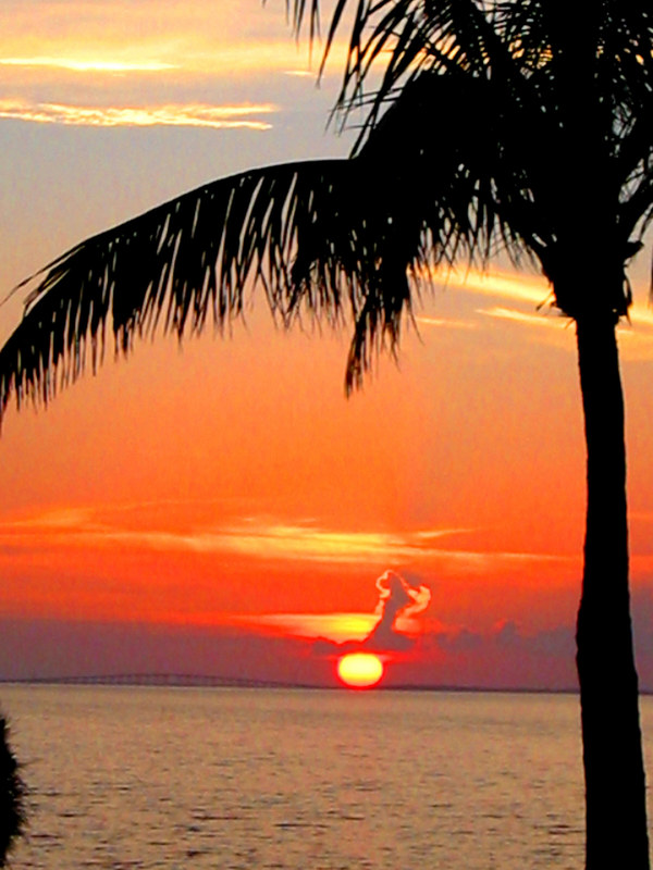 North Key Largo, FL: Sunset at Key Largo Anglers Club