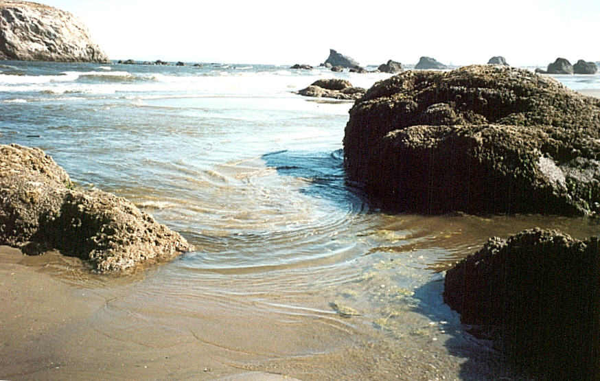 Bandon, OR: Tide Pools on The Beach. A Short walk from Old Town