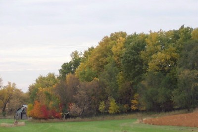 Sioux Falls, SD: Fall colors in Sioux Falls,SD