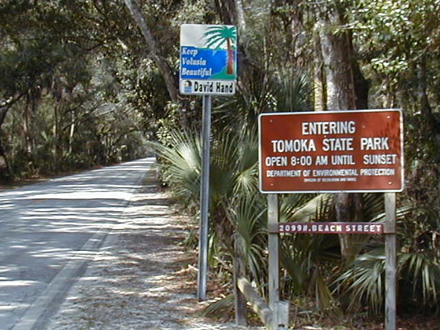 Ormond Beach Fl Entrance To The Loop Tree Canopy Covered Road Ormond Beach Fl Entrance To The