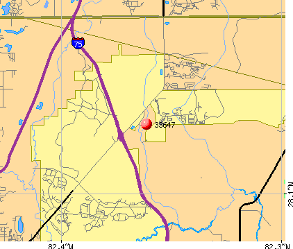 33647 Zip Code (Tampa, Florida) Profile - homes, apartments