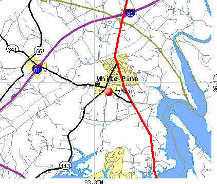 37890 Zip Code (White Pine, Tennessee) Profile - homes, apartments ...