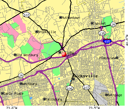 11753 Zip Code (Jericho, New York) Profile - homes, apartments, schools ...