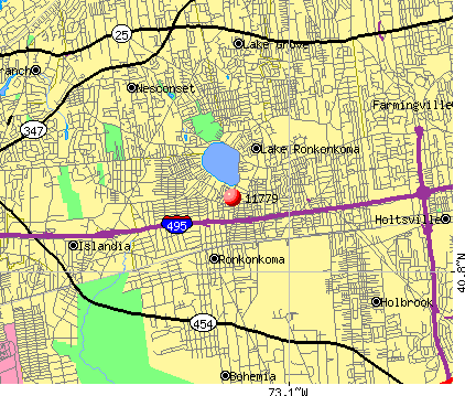 11779 Zip Code (Ronkonkoma, New York) Profile - homes, apartments ...