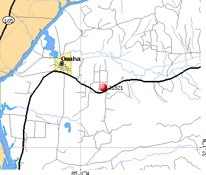 31821 Zip Code (Georgia) Profile - homes, apartments, schools ...