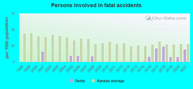 Persons involved in fatal accidents