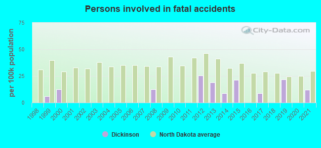 Persons involved in fatal accidents