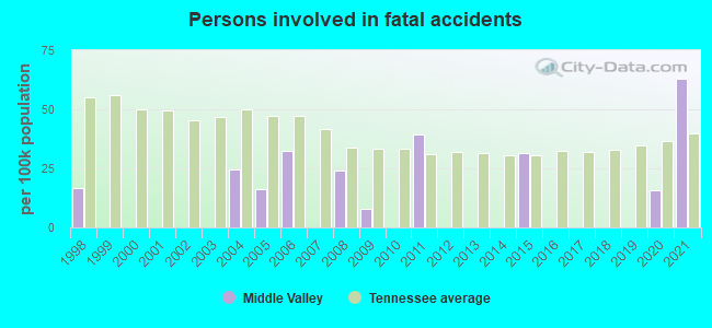 Persons involved in fatal accidents