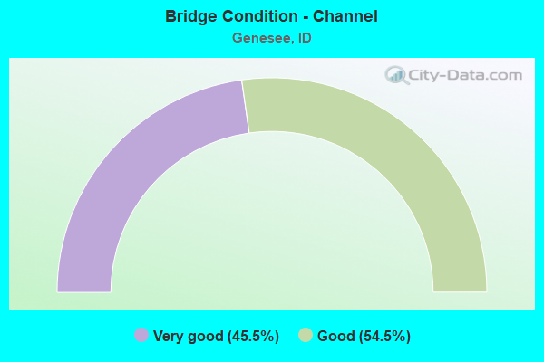 Bridge Condition - Channel