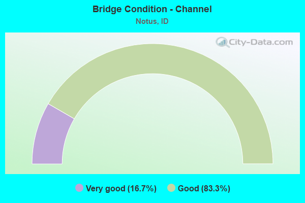 Bridge Condition - Channel