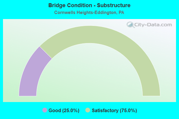 Bridge Condition - Substructure