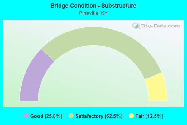 Bridge Condition - Substructure