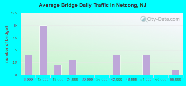 Average Bridge Daily Traffic in Netcong, NJ