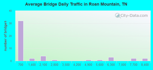 Average Bridge Daily Traffic in Roan Mountain, TN