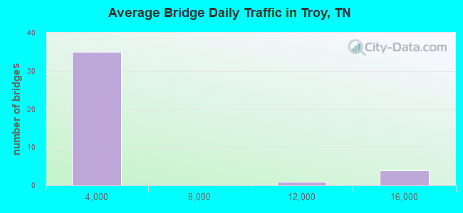 Average Bridge Daily Traffic in Troy, TN