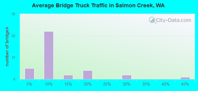 Average Bridge Truck Traffic in Salmon Creek, WA