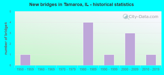 New bridges in Tamaroa, IL - historical statistics