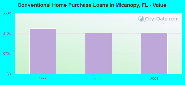 Conventional Home Purchase Loans in Micanopy, FL - Value