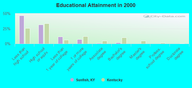 Educational Attainment in 2000