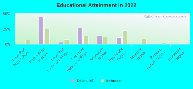 Educational Attainment in 2022