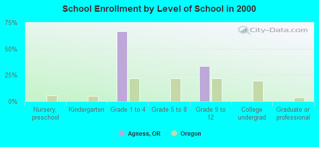 School Enrollment by Level of School in 2000