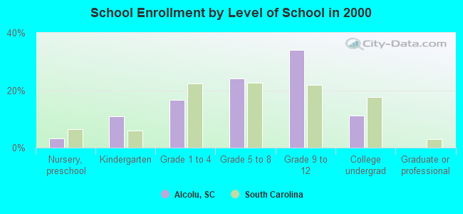 School Enrollment by Level of School in 2000