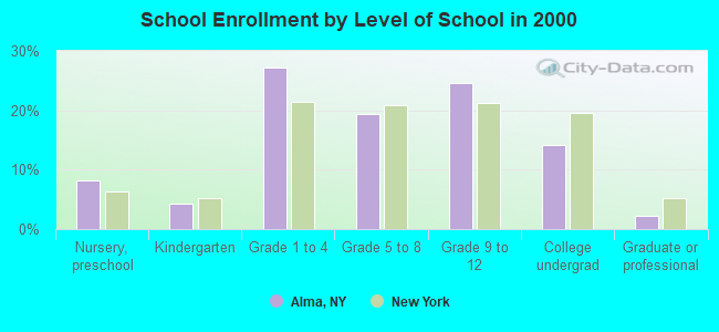 School Enrollment by Level of School in 2000