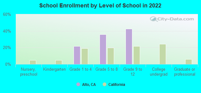 School Enrollment by Level of School in 2022