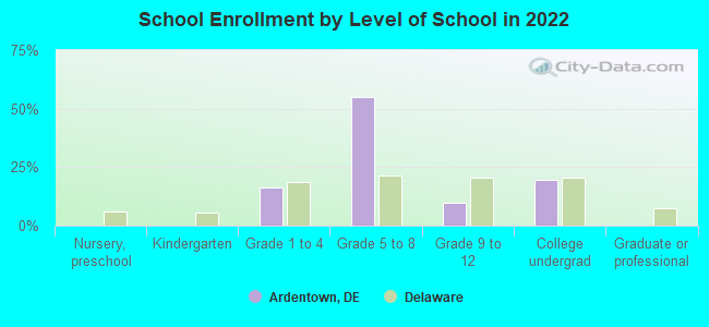 School Enrollment by Level of School in 2022