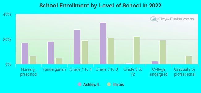 School Enrollment by Level of School in 2022