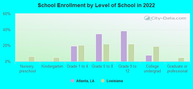 School Enrollment by Level of School in 2022