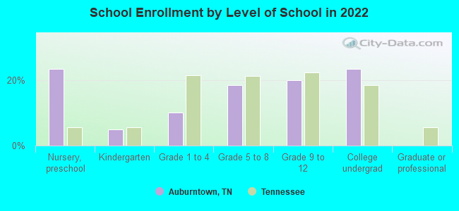 School Enrollment by Level of School in 2022