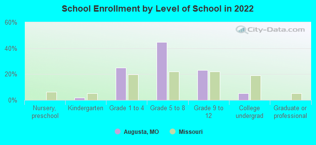 School Enrollment by Level of School in 2022