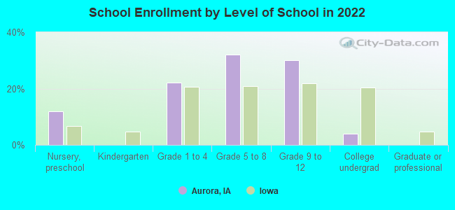 School Enrollment by Level of School in 2022