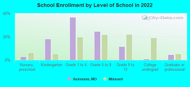 School Enrollment by Level of School in 2022