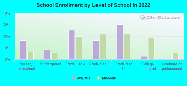 School Enrollment by Level of School in 2022