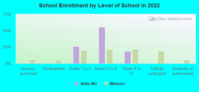 School Enrollment by Level of School in 2022