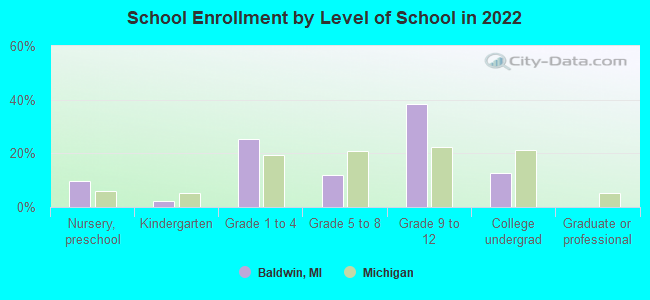 School Enrollment by Level of School in 2022