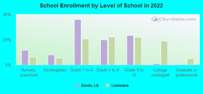 School Enrollment by Level of School in 2022