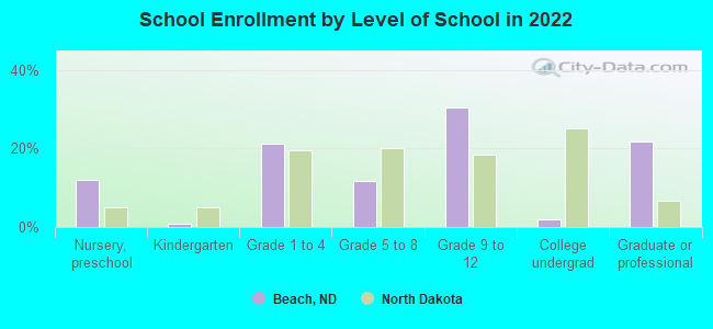 School Enrollment by Level of School in 2022