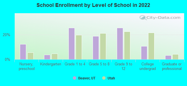 School Enrollment by Level of School in 2022