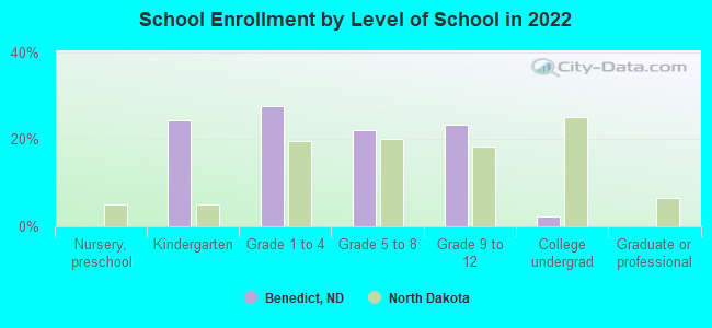 School Enrollment by Level of School in 2022