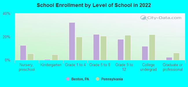 School Enrollment by Level of School in 2022